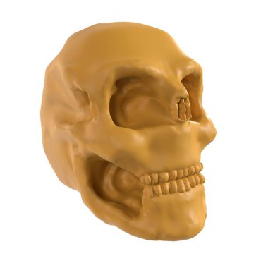 Ortasında delik olan bir kafatası.