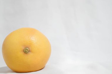 Still Life with Grapefruit. High quality photo