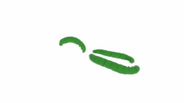 harf logo ikonu tasarım şablonu