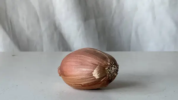 Tek bir arpacık soğanı mutfak tezgahına yerleştirilir, pürüzsüz derisi ve şekli sergilenir..