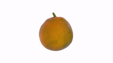 Beyaz arkaplanda yalıtılmış mango meyvesi