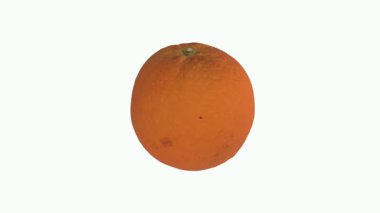 Açık arkaplanda olgun bir portakalın gerçekçi 3D canlandırması