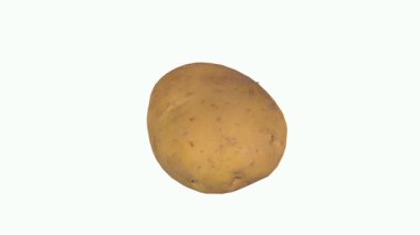 Sade bir arka planda dokulu bir patatesin gerçekçi üç boyutlu canlandırması