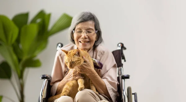 Háziállatterápia Demencia Kezelésében Idős Nőknél — Stock Fotó
