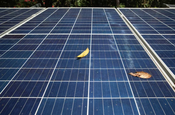 Las Hojas Secas Caen Sobre Superficie Del Panel Solar Fotovoltaico — Foto de Stock