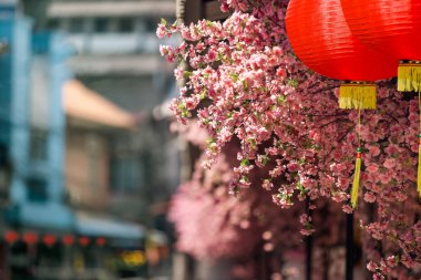 Çin mahallesindeki Çin Yeni Yıl Feneri.