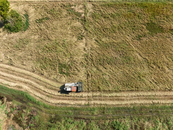 Συνδυάστε Θεριστές Εργάζονται Ρύζι Στον Τομέα Εναέρια Άποψη Ταϊλάνδη — Φωτογραφία Αρχείου