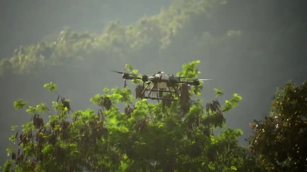 Produits Chimiques Pulvérisation Drone Sur Rizière — Video