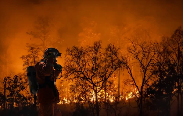 stock image Firefighters battle a wildfire because climate change and global warming is a driver of global wildfire trends.