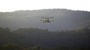 Drone buğday tarlasına kimyasal püskürtüyor..