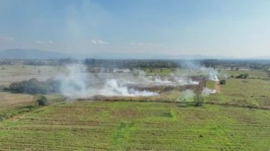Tarım veya mahsul kalıntılarının yakılması küresel atmosferde hava kirliliği ve siyah karbona yol açtı.