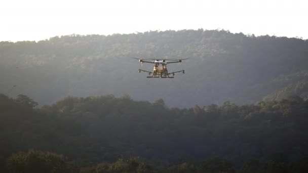 Drone Spray Chemicaliën Tarweveld — Stockvideo