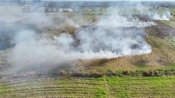 Het Verbranden Van Landbouw Gewasresten Heeft Geleid Tot Luchtverontreiniging Zwarte — Stockvideo
