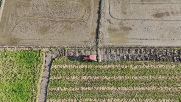 Traktor Obdělávající Půdu Otočným Kormidlem Pro Přípravu Půdy Pro Další — Stock video
