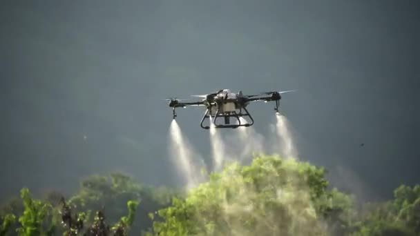 Drone Spray Chemical Orchard — Video