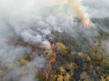 Wildfires release carbon dioxide (CO2) emissions and other greenhouse gases (GHG) that contribute to climate change and global warming.
