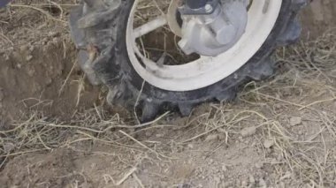 Sebze nakli makinesi çiftlikte fideleri yerleştirirken.