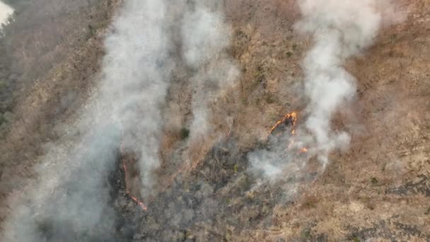 Изменение Климата Пожар Тропических Лесах Вызванный Человеческим Экологическим Ущербом Юго — стоковое видео
