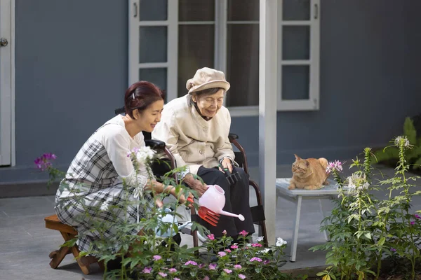 stock image Elderly woman gardening in frontyard with daughter and cat.