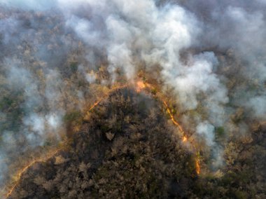 İklim değişikliği, orman yangınları iklim değişikliğine ve küresel ısınmaya katkıda bulunan karbondioksit (CO2) emisyonları ve diğer sera gazları (GHG) salıyor.
