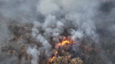 Climate change, Wildfires release carbon dioxide (CO2) emissions and other greenhouse gases (GHG) that contribute to climate change and global warming.
