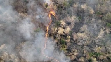 Climate change, Wildfires release carbon dioxide (CO2) emissions and other greenhouse gases (GHG) that contribute to climate change and global warming.