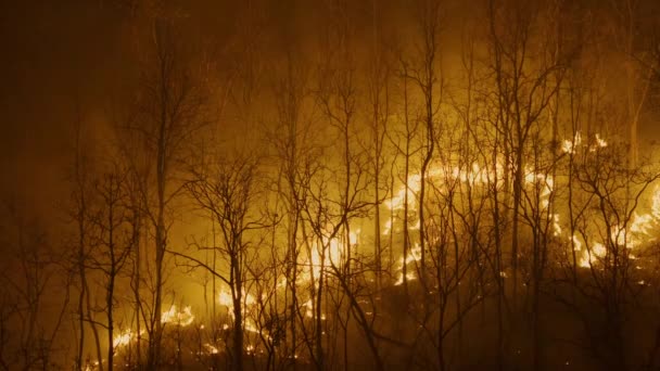 Climate Change Wildfires Release Carbon Dioxide Co2 Emissions Other Greenhouse — 비디오