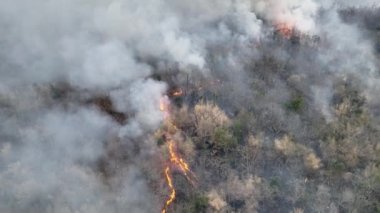 Vahşi yangınlar, iklim değişikliği ve küresel ısınmaya katkıda bulunan karbondioksit (CO2) emisyonları ve diğer sera gazlarını (GHG) serbest bırakır. hava görünümü.