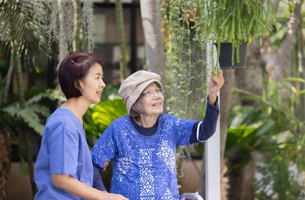 Gardening Therapy Dementia Treatment Elderly Woman Stockafbeelding