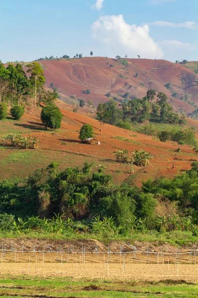 Deforestazione Fonte Antropogenica Delle Emissioni Atmosferiche Anidride Carbonica Causate Dai — Foto Stock