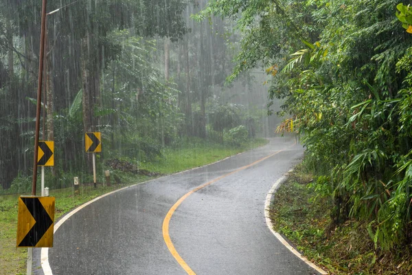 stock image La Nina cause a Heavy Rain in Tropical Forest.