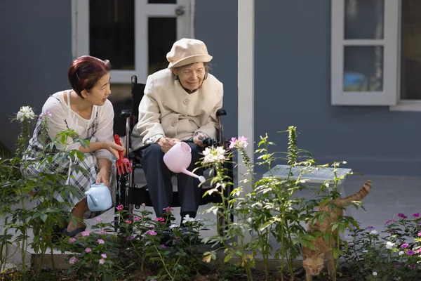 与女儿和猫一起在前院种花的老年妇女 — 图库照片