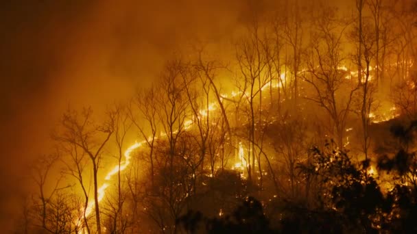 Klimatförändringar Wildfires Släpper Koldioxid Co2 Utsläpp Och Andra Växthusgaser Ghg — Stockvideo