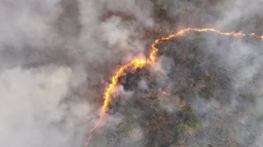İklim değişikliği, orman yangınları iklim değişikliğine ve küresel ısınmaya katkıda bulunan karbondioksit (CO2) emisyonları ve diğer sera gazları (GHG) salıyor.