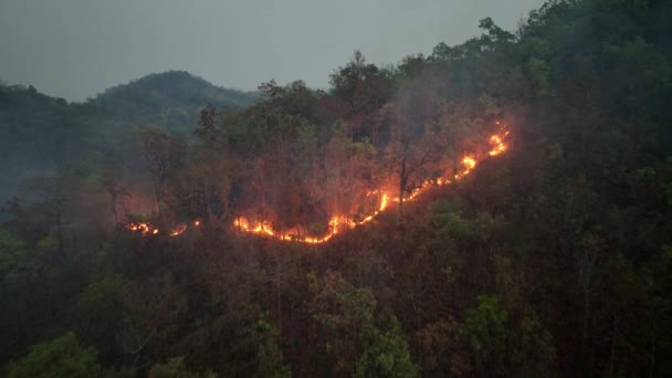 Climate Change Wildfires Release Carbon Dioxide Co2 Emissions Other Greenhouse — 图库视频影像