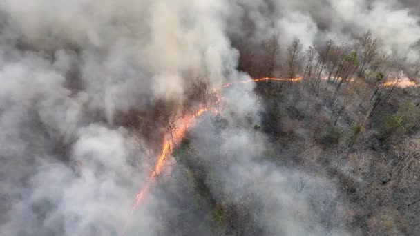 Klimatförändringar Wildfires Släpper Koldioxid Co2 Utsläpp Och Andra Växthusgaser Ghg — Stockvideo