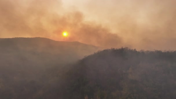 Climate Change Wildfires Release Carbon Dioxide Co2 Emissions Other Greenhouse — Vídeo de Stock