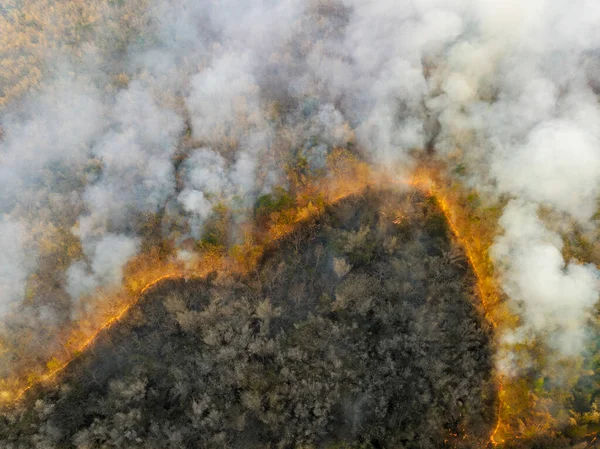 Climate Change Wildfires Release Carbon Dioxide Co2 Emissions Other Greenhouse — Fotografia de Stock