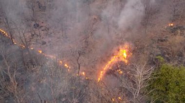 Climate change, Wildfires release carbon dioxide (CO2) emissions and other greenhouse gases (GHG) that contribute to climate change and global warming.