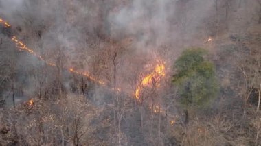 Climate change, Wildfires release carbon dioxide (CO2) emissions and other greenhouse gases (GHG) that contribute to climate change and global warming.