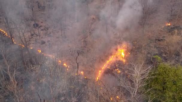 Κλιματική Αλλαγή Wildfires Απελευθερώνουν Εκπομπές Διοξειδίου Του Άνθρακα Co2 Και — Αρχείο Βίντεο