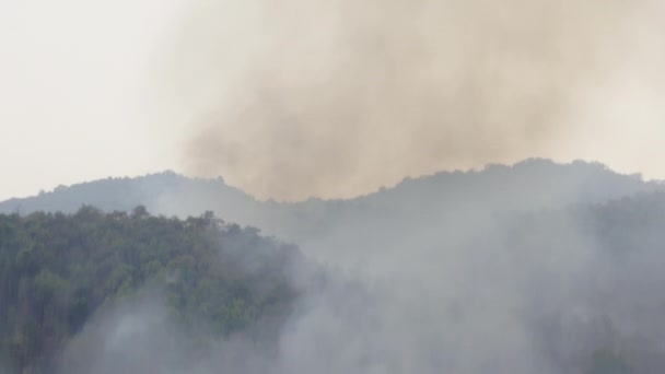 Wildfires Uvolňují Emise Oxidu Uhličitého Co2 Další Skleníkové Plyny Které — Stock video