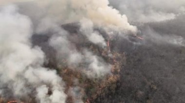 İklim değişikliği, orman yangınları iklim değişikliğine ve küresel ısınmaya katkıda bulunan karbondioksit (CO2) emisyonları ve diğer sera gazları (GHG) salıyor.