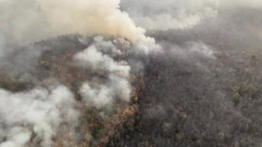 İklim değişikliği, orman yangınları iklim değişikliğine ve küresel ısınmaya katkıda bulunan karbondioksit (CO2) emisyonları ve diğer sera gazları (GHG) salıyor.