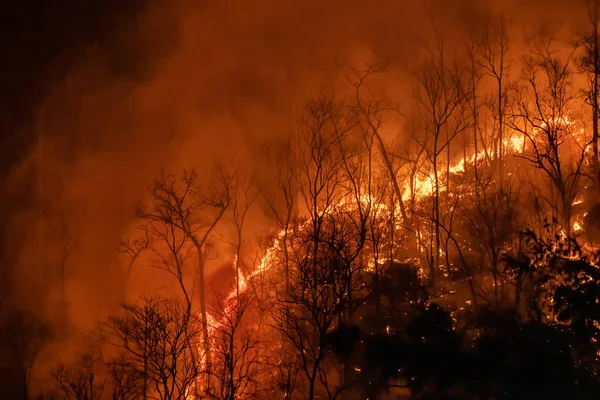 Изменение Климата Лесные Пожары Высвобождают Выбросы Углекислого Газа Co2 Других — стоковое фото