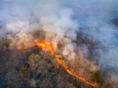 Vahşi yangınlar, iklim değişikliği ve küresel ısınmaya katkıda bulunan karbondioksit (CO2) emisyonları ve diğer sera gazları (GHG) salıyor.
