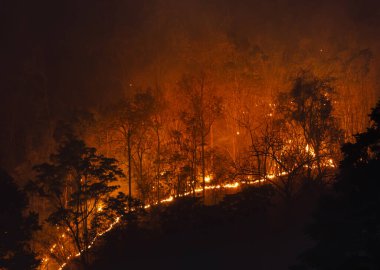 Tropikal orman yangınları, Güneydoğu Asya 'daki mevsimsel olarak kuru tropikal ekosistemleri olumsuz yönde etkiliyor..