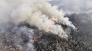 Climate change, Wildfires release carbon dioxide (CO2) emissions and other greenhouse gases (GHG) that contribute to climate change and global warming.