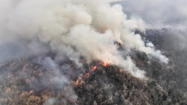 Κλιματική Αλλαγή Wildfires Απελευθερώνουν Εκπομπές Διοξειδίου Του Άνθρακα Co2 Και — Αρχείο Βίντεο