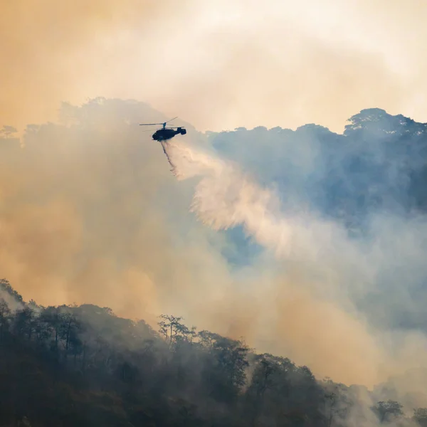 Nino Hava Durumu Fenomeni Kuraklığa Orman Yangınına Neden Olur — Stok fotoğraf